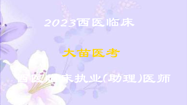 2023大苗西医临床执业（助理）全程